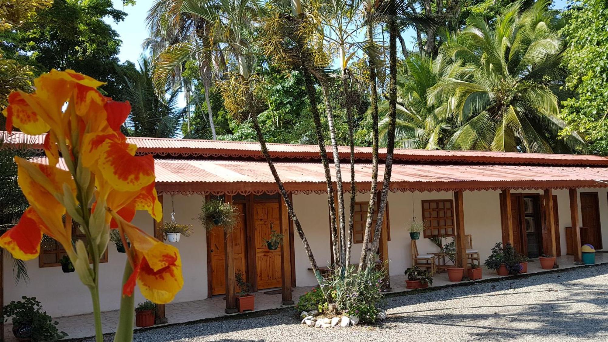 Yucca Beachfront Hotel Puerto Viejo de Talamanca Exteriör bild